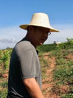 农业人叶涛，50多岁通讯人跨界搞农业，他要用1000万打造一个梦。